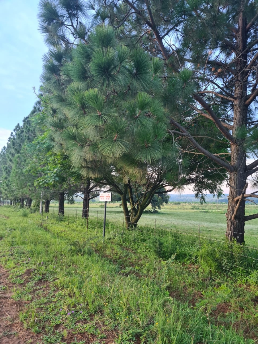 4 Bedroom Property for Sale in Deneysville Free State